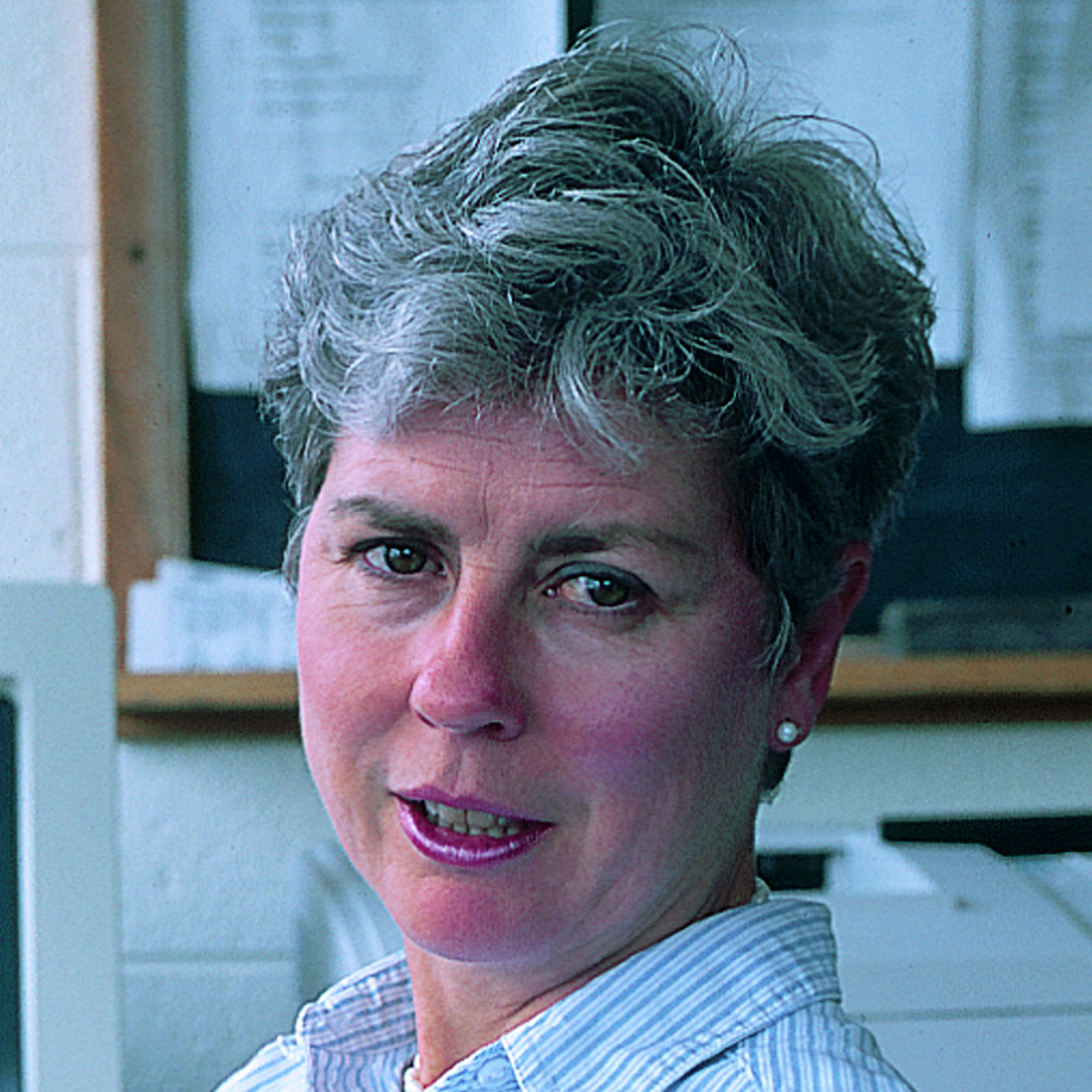 spiggles_web Susan Spiggle